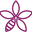 Honey Girl Organics Icon