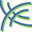 Premier Payroll Services Icon