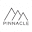 Pinnacle Wine & Liquor Icon