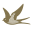 Matusalem Rum Icon