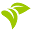 Nuts n Berries Icon
