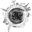 Massenez Icon