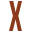 Xicaru Icon