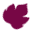 Cordelina Wines Icon