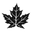 Beaver Buzz Icon