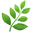 Taste Plants Icon