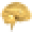 Nootroo Icon