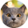 Aarons Animals Icon