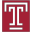 Temple Owls Icon