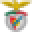 Sport Lisboa e Benfica Icon