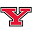 Youngstown State Penguins Icon