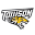 Towson Tigers Icon