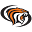 Pacific Tigers Icon