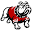 Gardner-Webb Athletics Icon