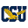 Coppin State Sports Icon
