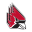 Ball State Sports Icon