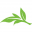 Five Mountains Icon