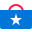 Bernie Sanders Icon