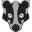 Boticca Icon