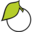 Hedge Apple Icon