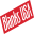 Blanks/USA Icon