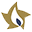 Lone Star Candle Supply Icon