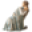 Angel Tree Store Icon