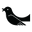 Rebel Green Icon
