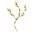 Willow Bloom Home Icon