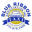 Blue Ribbon Taxi Icon