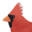 Audubon Shop Icon
