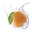 Touch Of Oranges Icon