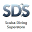 SDS Watersports Icon