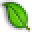 LeafPool Icon