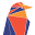 Ravencoin Icon