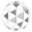 DutchyCorp Icon