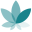 Top Canna Products Icon