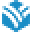 Vnecoms Icon