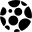 Digital Forest Icon