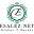 Esalez.net Icon