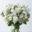 Online Flowers UK Icon