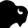 BlackBrook Case Icon