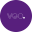 Veo World Icon