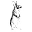 Kevin Seah Icon