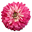 Hope for Flowers Icon