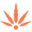 WUNDER Icon