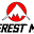 Everest MAE Icon