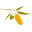 Strand Olive Oils Icon