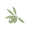 Olive Oil of the World Icon