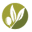 Olive Truck Icon
